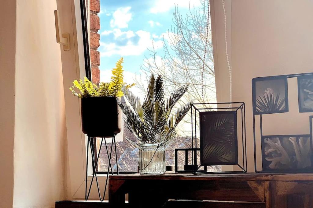 Apartment Suburban Jungle